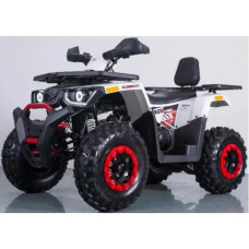 Квадроцикл дитячий Forte Braves 200