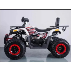 Квадроцикл дитячий Forte Braves 200