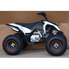 Квадроцикл Speed ​​Gear Madix 125
