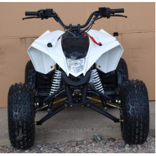 Квадроцикл Speed ​​Gear Madix 125