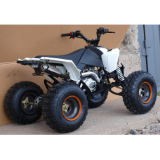 Квадроцикл Speed ​​Gear Madix 125