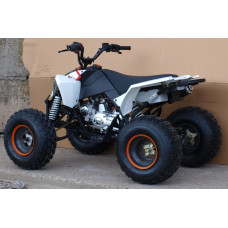 Квадроцикл Speed Gear Madix 125