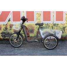 Електровелосипед триколісний SKYMOTO BIG HAPPY 350W 48V 10Ah