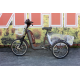 Електровелосипед триколісний SKYMOTO BIG HAPPY 350W 48V 10Ah