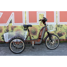Електровелосипед триколісний SKYMOTO BIG HAPPY 350W 48V 10Ah