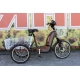 Електровелосипед триколісний SKYMOTO BIG HAPPY 350W 48V 10Ah