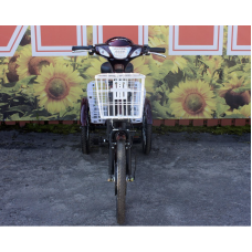 Електровелосипед триколісний SKYMOTO BIG HAPPY 350W 48V 10Ah