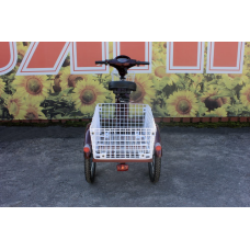 Електровелосипед триколісний SKYMOTO BIG HAPPY 350W 48V 10Ah