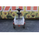 Електровелосипед триколісний SKYMOTO BIG HAPPY 350W 48V 10Ah