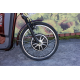 Електровелосипед триколісний SKYMOTO BIG HAPPY 350W 48V 10Ah