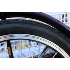 Електровелосипед триколісний SKYMOTO BIG HAPPY 350W 48V 10Ah