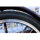Електровелосипед триколісний SKYMOTO BIG HAPPY 350W 48V 10Ah