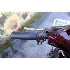 Електровелосипед триколісний SKYMOTO BIG HAPPY 350W 48V 10Ah