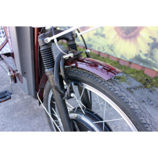 Електровелосипед триколісний SKYMOTO BIG HAPPY 350W 48V 10Ah