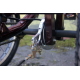 Електровелосипед триколісний SKYMOTO BIG HAPPY 350W 48V 10Ah