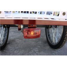 Електровелосипед триколісний SKYMOTO BIG HAPPY 350W 48V 10Ah
