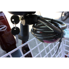 Електровелосипед триколісний SKYMOTO BIG HAPPY 350W 48V 10Ah