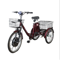 Електровелосипед триколісний SKYMOTO BIG HAPPY 350W 48V 10Ah