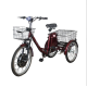 Електровелосипед триколісний SKYMOTO BIG HAPPY 350W 48V 10Ah