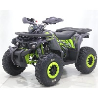 Квадроцикл дитячо-підлітковий ORIX 125 