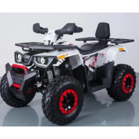 Квадроцикл дитячий Forte Braves 200