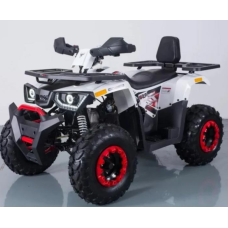 Квадроцикл дитячий Forte Braves 200