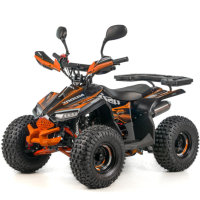 Квадроцикл дитячий ASIX MUDDY 110см³ E-Start