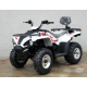 Квадроцикл Linhai Z180 Білий