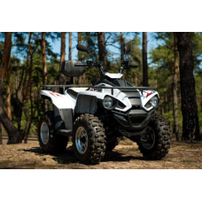 Квадроцикл Linhai Z180 Білий