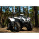 Квадроцикл Linhai Z180 Білий