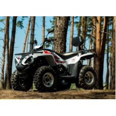 Квадроцикл Linhai Z180 Білий