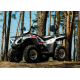 Квадроцикл Linhai Z180 Білий