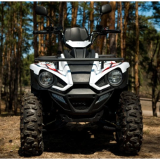 Квадроцикл Linhai Z180 Білий