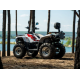 Квадроцикл Linhai Z180 Білий