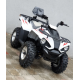 Квадроцикл Linhai Z180 Білий