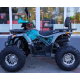 Квадроцикл підлітковий FORTE ATV125P сіро-блакитний