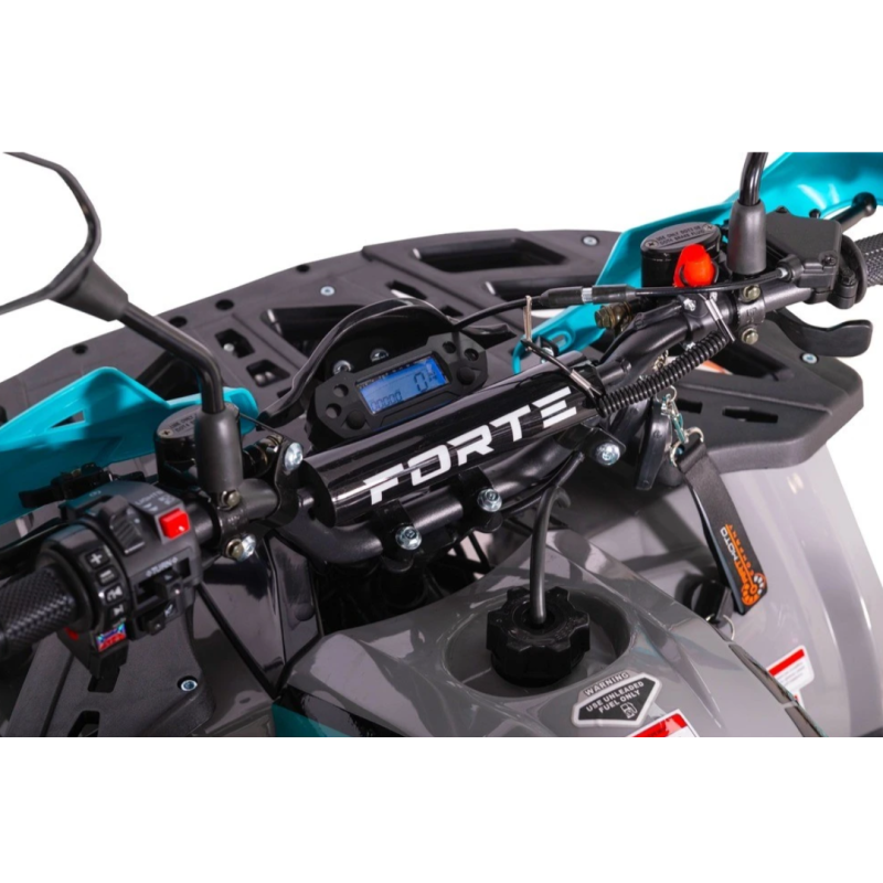 Квадроцикл підлітковий FORTE ATV125P сіро-блакитний