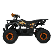 Дитячий квадроцикл Profi HB-EATV1450F-P-5 MP3