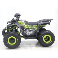 Квадроцикл дитячо-підлітковий ORIX 125 