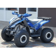 Квадроцикл дитячо-підлітковий COMMAN RIVAL 125 синій 