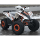 Квадроцикл дитячо-підлітковий COMMAN RIVAL 125 білий
