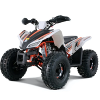 Квадроцикл дитячо-підлітковий COMMAN RIVAL 125 білий