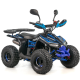 Квадроцикл дитячий ASIX MUDDY 110см³ E-Start