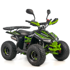 Квадроцикл дитячий ASIX MUDDY 110см³ E-Start