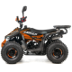 Квадроцикл дитячий ASIX MUDDY 110см³ E-Start