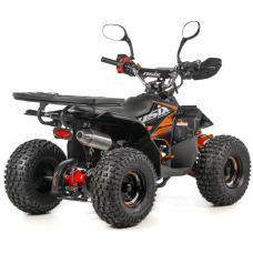Квадроцикл дитячий ASIX MUDDY 110см³ E-Start