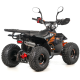 Квадроцикл дитячий ASIX MUDDY 110см³ E-Start