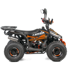 Квадроцикл дитячий ASIX MUDDY 110см³ E-Start