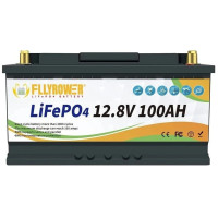 Акумулятор FlyPower LiFePO4 12V 100A, 1280W*h (літій-залізо-фосфатний акумулятор для ДБЖ)