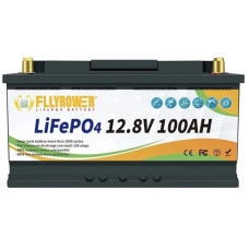Акумулятор FlyPower LiFePO4 12V 100A, 1280W*h (літій-залізо-фосфатний акумулятор для ДБЖ)